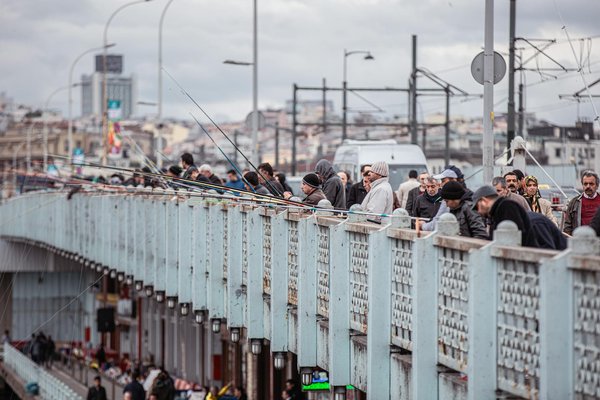 Découvrez les services de les coquecigrues
